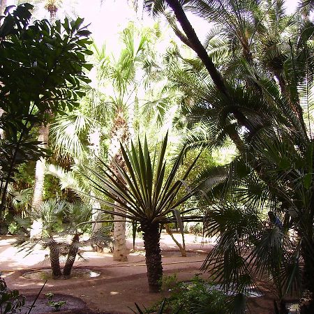 Appart Avec Vue Jardin/Majorelle Marraquexe Exterior foto