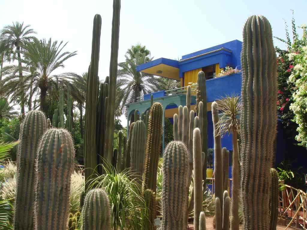 Appart Avec Vue Jardin/Majorelle Marraquexe Exterior foto