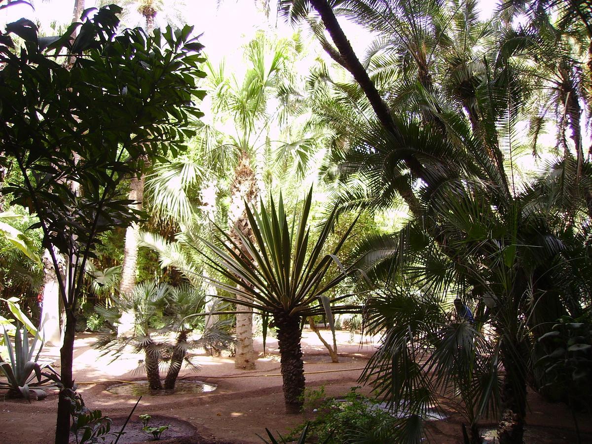 Appart Avec Vue Jardin/Majorelle Marraquexe Exterior foto
